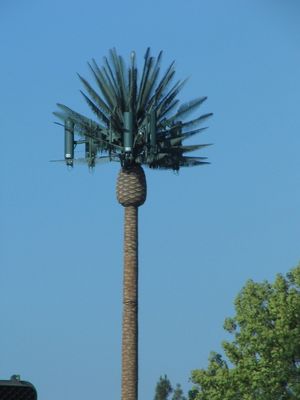 El solo polo G/M camufló la torre de la célula del árbol de pino