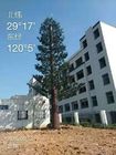 Árbol camuflado los 50m duradero de la torre del teléfono celular