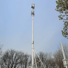 Torre de comunicación monopolar de la telecomunicación el 15m de la antena del G/M