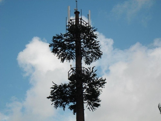 Torre de la célula del camuflaje del árbol de pino los 50m para la telecomunicación